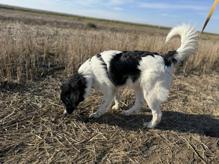 Fb img 1761473970663