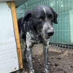 Fb img 1761902440309