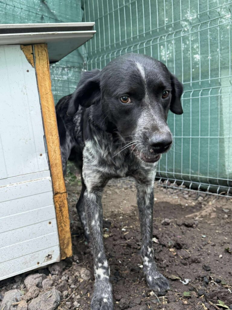 Fb img 1761902440309