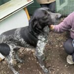 Fb img 1761902443081