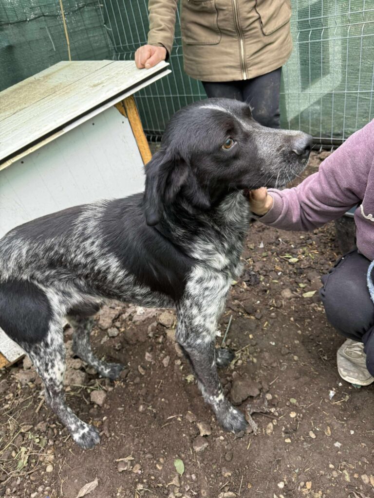 Fb img 1761902443081