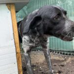 Fb img 1761902447368