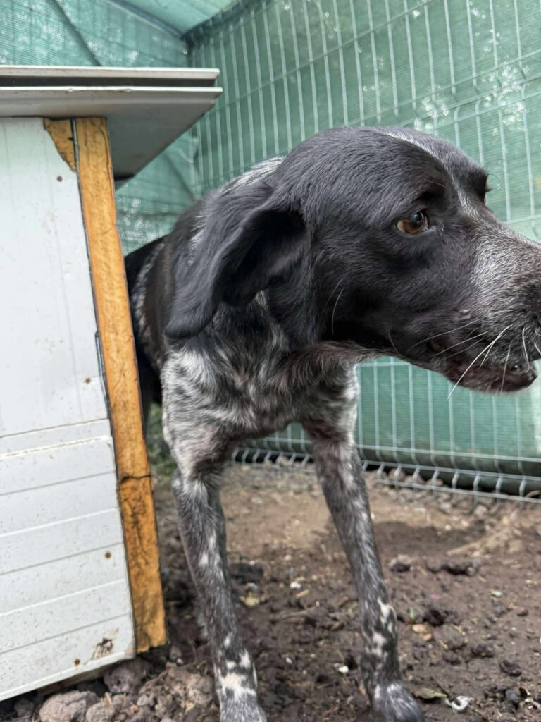 Fb img 1761902447368