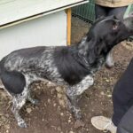 Fb img 1761902450516