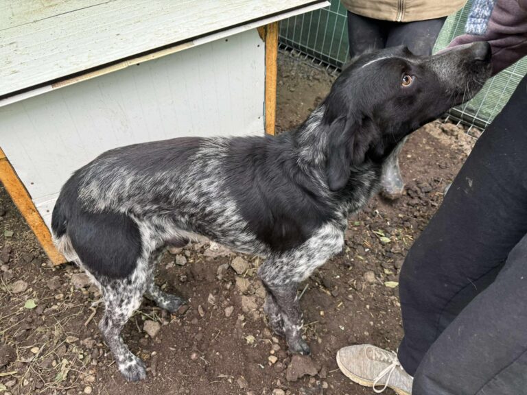 Fb img 1761902450516