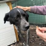 Fb img 1761902460275