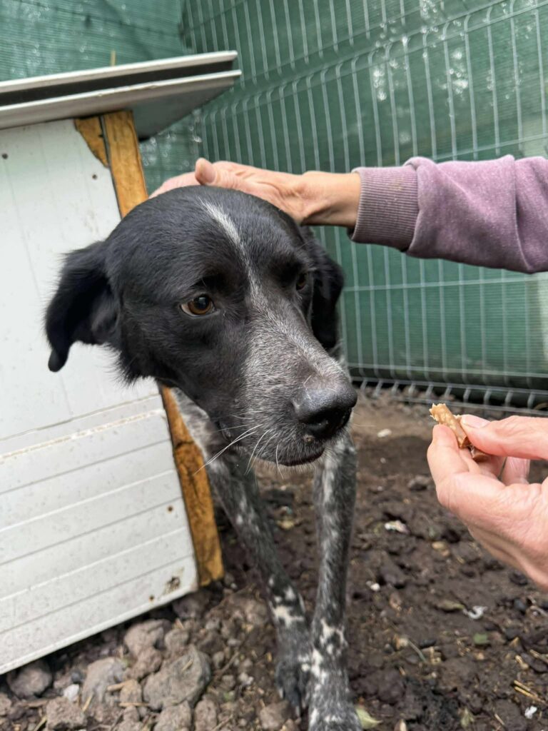 Fb img 1761902460275