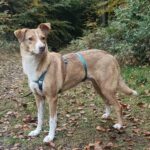 Fb img 1762367814340