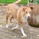 Fb img 1762367816522