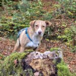 Fb img 1762367819022