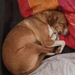 Fb img 1762367821629