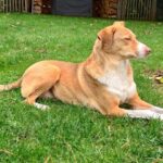 Fb img 1762367827396