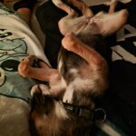 Img 20250920 wa0000.jpg