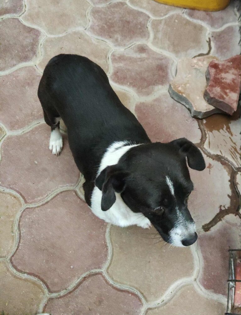 Messenger creation 0523c0d6 2916 4cd1 b4d3 f8e6251a07b2