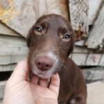 Messenger creation 107afd01 b963 4ce6 85f0 11b00f991d55