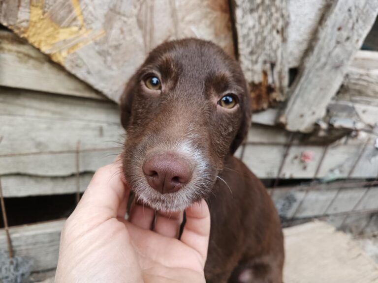 Messenger creation 107afd01 b963 4ce6 85f0 11b00f991d55