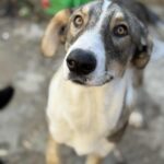 Messenger creation 1235f4d2 352d 473c 8bbf 493b8281abe0