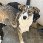 Messenger creation 170d8f38 aea4 4601 bbd1 e15dc82f49c0