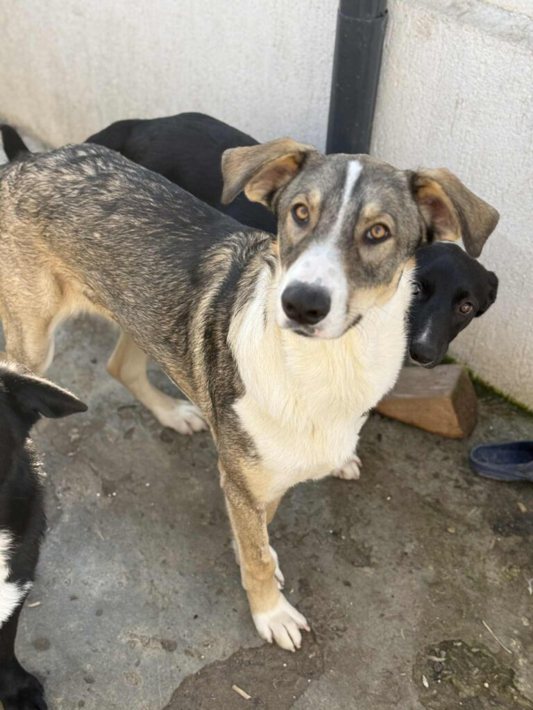 Messenger creation 170d8f38 aea4 4601 bbd1 e15dc82f49c0