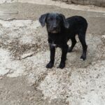 Messenger creation 227b753d 6982 4fc8 b9b7 122476c92040