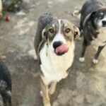 Messenger creation 261d2952 7519 4f88 a8a1 6d2f0f5be8bb