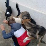 Messenger creation 28b96d87 3931 475f 982c 615f3683ba5f