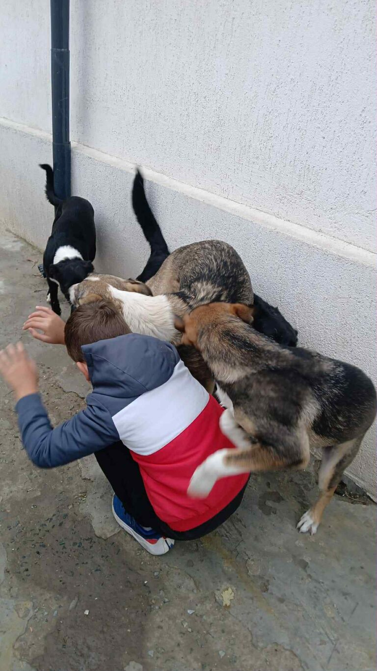 Messenger creation 28b96d87 3931 475f 982c 615f3683ba5f