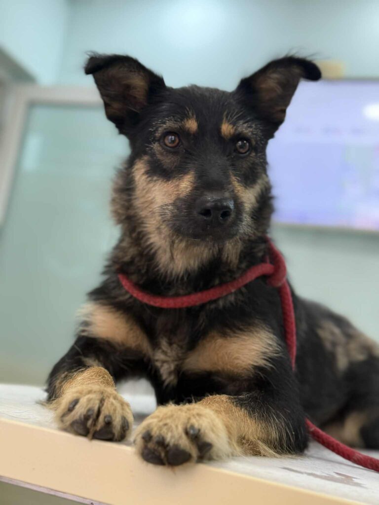 Messenger creation 2970a169 ed21 406c 8b0d f929fe7549b9