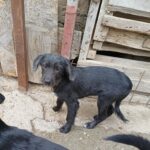 Messenger creation 2ac2e757 72df 423f 95fd dae8c09516e6