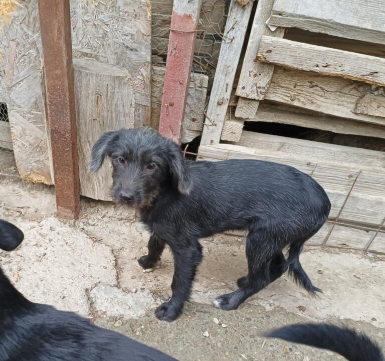 Messenger creation 2ac2e757 72df 423f 95fd dae8c09516e6