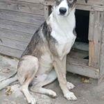 Messenger creation 3332f03f 4b17 44f3 a4fd 027cc747ef2e