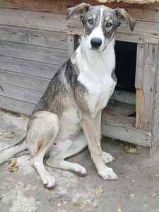 Messenger creation 3332f03f 4b17 44f3 a4fd 027cc747ef2e