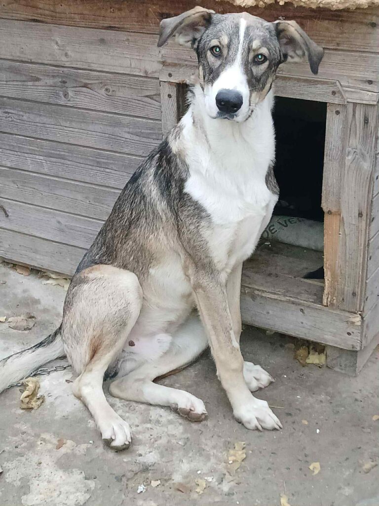 Messenger creation 3332f03f 4b17 44f3 a4fd 027cc747ef2e