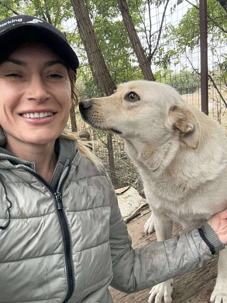 Messenger creation 3350604908410656