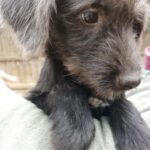 Messenger creation 337af661 d981 4a39 8676 3c0f44425923