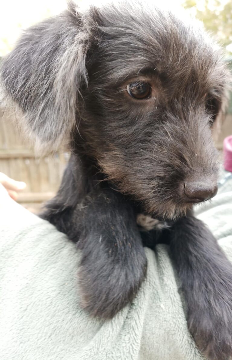 Messenger creation 337af661 d981 4a39 8676 3c0f44425923