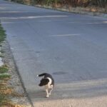 Messenger creation 39d1c7e8 c7e5 45d3 8889 0d1402a855f2