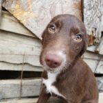 Messenger creation 3f2e5bb8 b662 411e 968f d76a0488f776