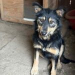 Messenger creation 43e3a376 da6d 4cf2 a5f6 248dc8bac89f