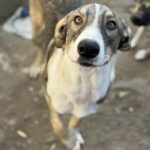 Messenger creation 49c810ee a0bd 46b6 94cf aff0d9da5c4e