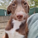 Messenger creation 4b5fdf44 2cef 40c4 befc 9925f7649682