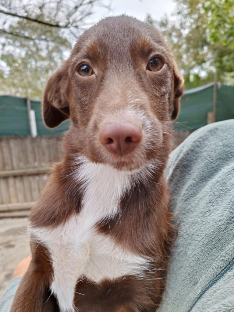 Messenger creation 4b5fdf44 2cef 40c4 befc 9925f7649682