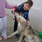 Messenger creation 4d50c503 5bcf 4cbc b4cf 26b5a2733fa2