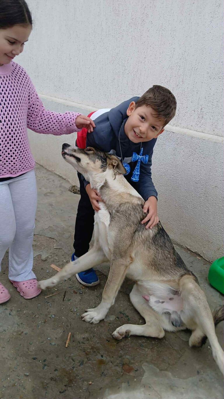 Messenger creation 4d50c503 5bcf 4cbc b4cf 26b5a2733fa2