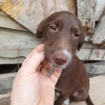 Messenger creation 4e5bfc16 fb1f 4c2d 8670 237c00c7663a