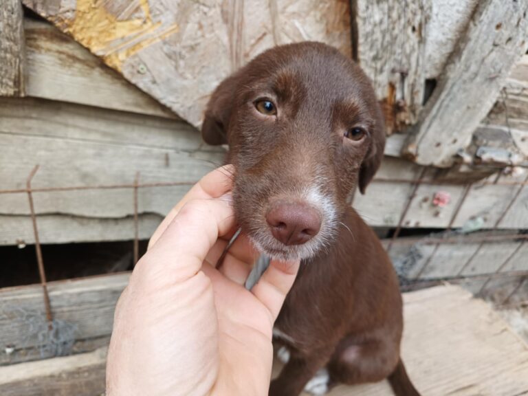 Messenger creation 4e5bfc16 fb1f 4c2d 8670 237c00c7663a