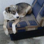 Messenger creation 4fa158a1 0286 44f1 a3a2 d29b5a38d02b