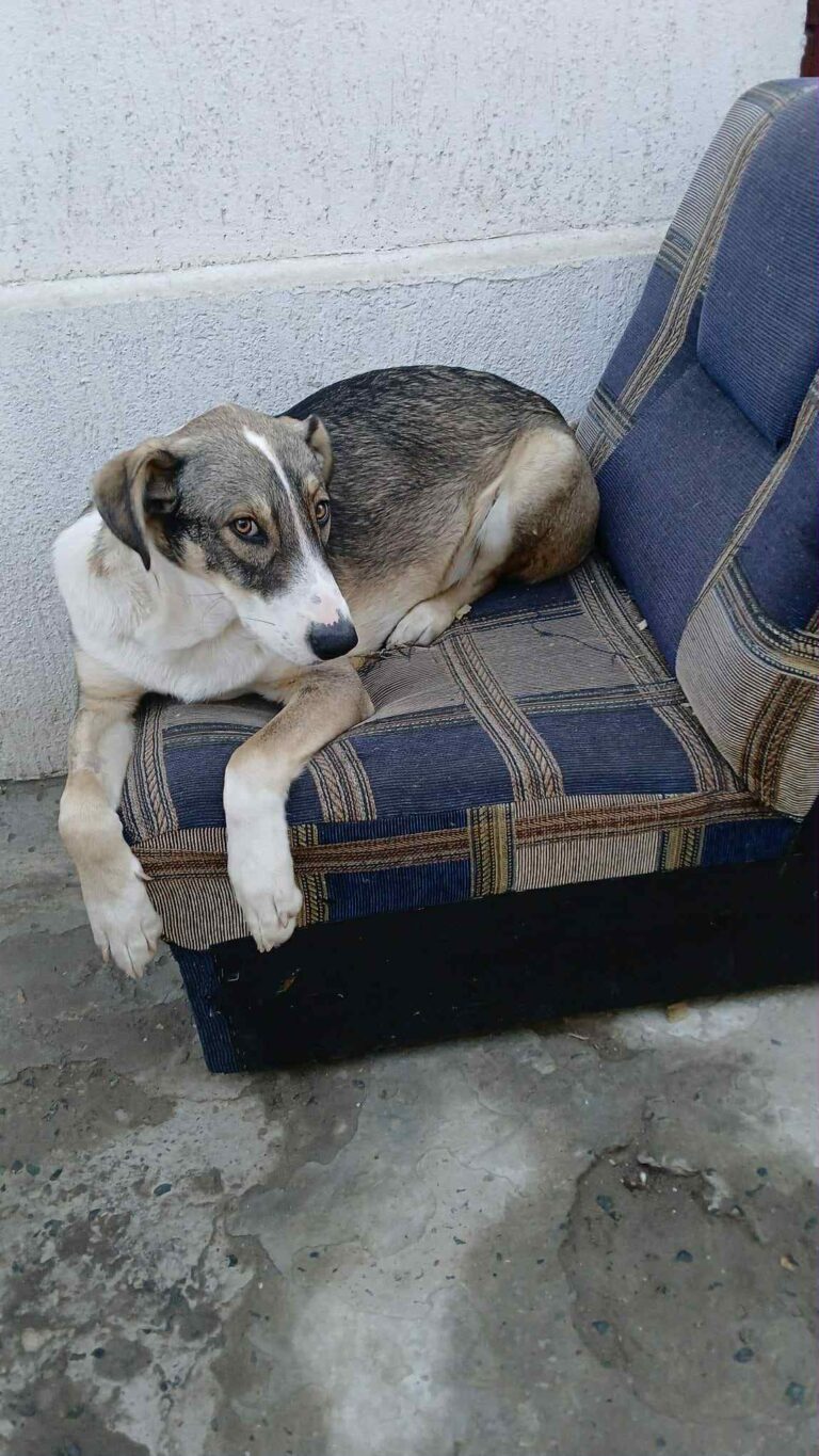 Messenger creation 4fa158a1 0286 44f1 a3a2 d29b5a38d02b