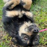 Messenger creation 5147ccf1 9174 4eba 86bf 2e72461d1b77