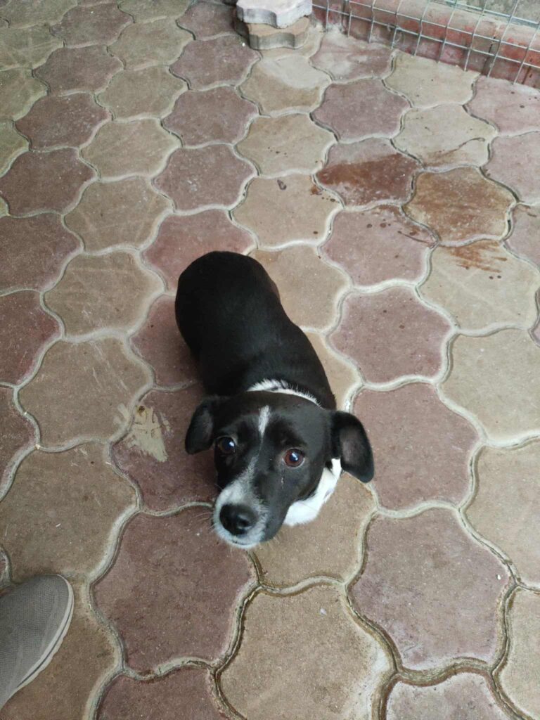 Messenger creation 5245063d f4e6 4724 bf9f ad2477e16737